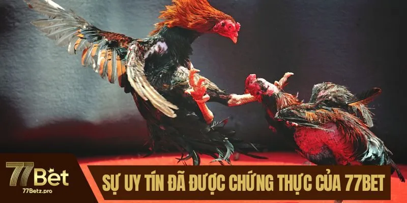 Sự uy t&iacute;n đ&atilde; được chứng thực của 77BET